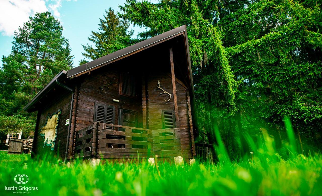 Pension Vanatorul Vatra Dornei Exterior foto